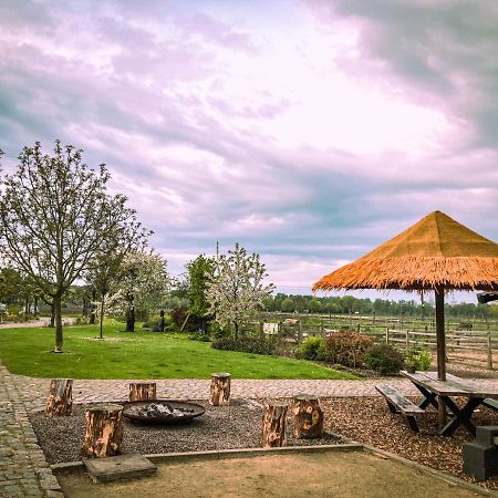 De Worfthoeve Bed and Breakfast Geel Buitenkant foto