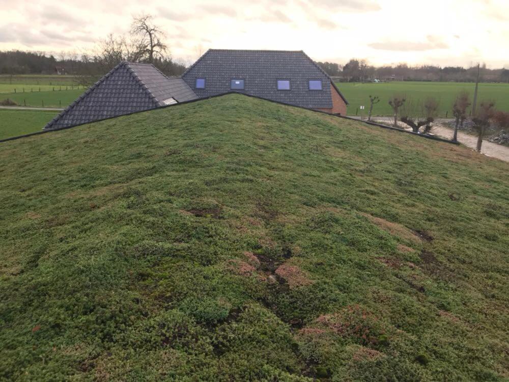De Worfthoeve Bed and Breakfast Geel Buitenkant foto
