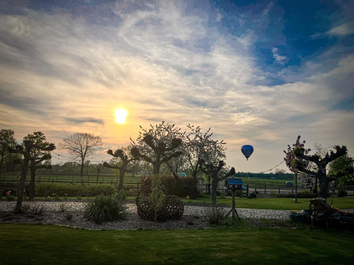 De Worfthoeve Bed and Breakfast Geel Buitenkant foto